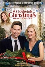 Watch A Godwink Christmas: Meant for Love Primewire