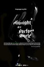 Watch Midnight in a Perfect World Primewire