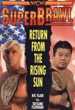 Watch WCW SuperBrawl I Primewire