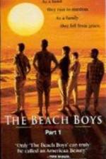 Watch The Beach Boys An American Family Primewire