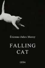 Watch Falling Cat Primewire