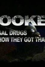 Watch Hooked: Illegal Drugs and How They Got That Way - Cocaine Primewire
