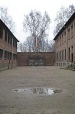Watch Made in Auschwitz: The Untold Story of Block 10 Primewire