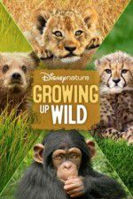 Watch Growing Up Wild Primewire