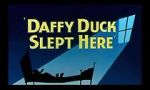Watch Daffy Duck Slept Here (Short 1948) Primewire