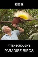 Watch Attenborough's Paradise Birds Primewire