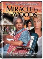 Watch Miracle in the Woods Primewire