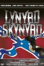 Watch Lynrd Skynyrd: Tribute Tour Concert Primewire