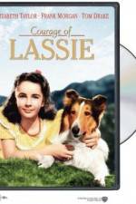 Watch Courage of Lassie Primewire