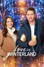 Watch Love in Winterland Primewire