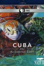 Watch Cuba: The Accidental Eden Primewire