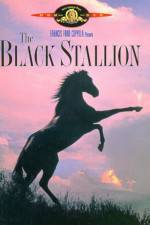 Watch The Black Stallion Primewire