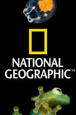 Watch National Geographic Wild Dam Beavers Primewire
