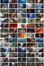 Watch The Tree of Life Primewire