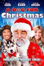 Watch A Dog for Christmas Primewire