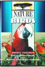 Watch PBS Nature - Extraordinary Birds Primewire