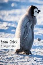 Watch Snow Chick: A Penguin's Tale Primewire