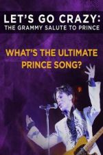 Watch Let\'s Go Crazy: The Grammy Salute to Prince Primewire