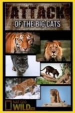 Watch National Geographic Attack Of The Big Cats Primewire