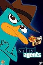 Watch Phineas And Ferb Animal Agents Primewire