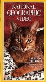 Watch Cats: Caressing the Tiger Primewire