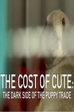 Watch The Cost of Cute: The Dark Side of the Puppy Trade Primewire