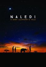 Watch Naledi: A Baby Elephant\'s Tale Primewire