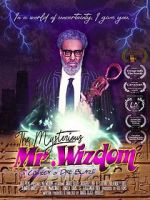 Watch The Mysterious Mr. Wizdom Primewire