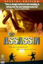 Watch The Assassin Primewire