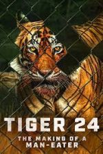 Watch Tiger 24 Primewire