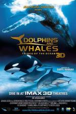 Watch Dolphins and Whales 3D Tribes of the Ocean Primewire
