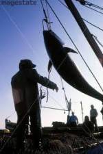 Watch National Geographic: Cheating Death Tuna Cowboys Primewire