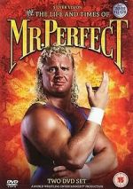 Watch The Life and Times of Mr. Perfect Primewire