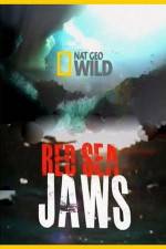 Watch National Geographic Red Sea Jaws Primewire
