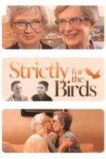 Watch Strictly for the Birds Primewire