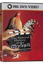 Watch The Natural History of the Chicken Primewire