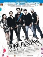 Watch Pure Punjabi Zumvo