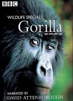 Watch Gorilla Revisited with David Attenborough Primewire