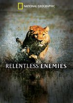 Watch Relentless Enemies Primewire