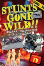 Watch Stunts Gone Wild: Crashes, Smashes & Road Rashes! Primewire