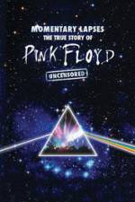 Watch Pink Floyd: Momentary Lapses - The True Story Of Pink Floyd Primewire