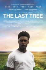 Watch The Last Tree Primewire