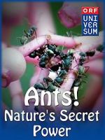 Watch Ants: Nature\'s Secret Power Primewire