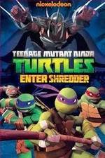 Watch Teenage Mutant Ninja Turtles: Enter Shredder Primewire