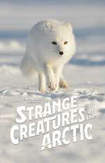 Watch Strange Creatures of the Arctic (TV Special 2022) Primewire