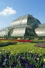 Watch Cruickshank on Kew: The Garden That Changed the World Primewire