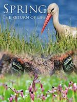 Watch Spring: The Return of Life Primewire