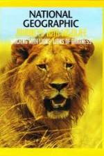 Watch National Geographic: Walking with Lions Primewire