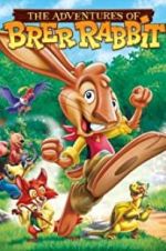Watch The Adventures of Brer Rabbit Primewire