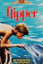 Watch Flipper Primewire